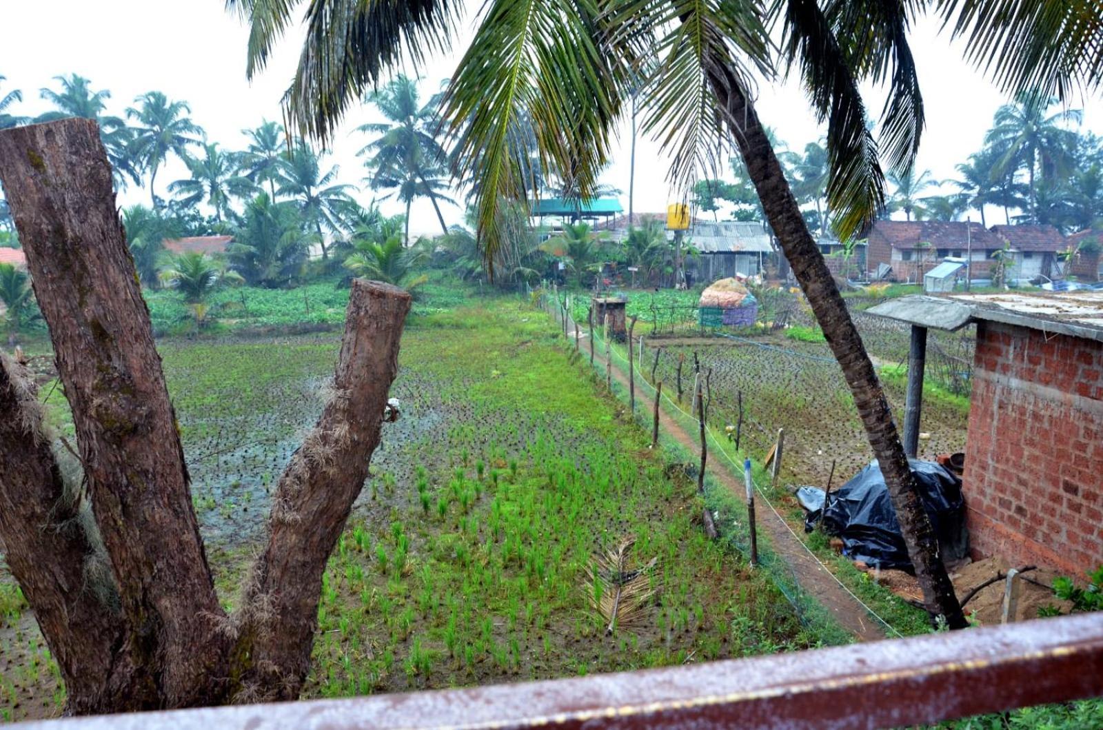 Kenchas Beach Resort Gokarna  Zewnętrze zdjęcie