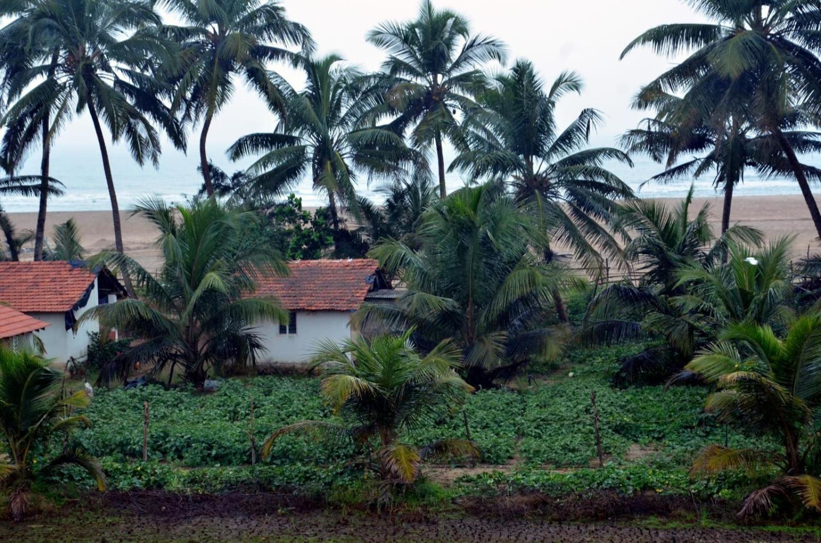 Kenchas Beach Resort Gokarna  Zewnętrze zdjęcie
